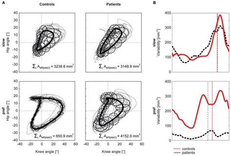 group cyclogram variability  variability   cyclogram