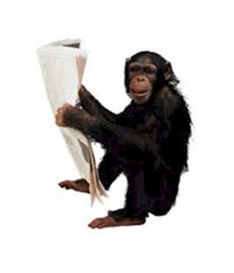 Rapid monkey chatter - Kiffin Gish dot Com