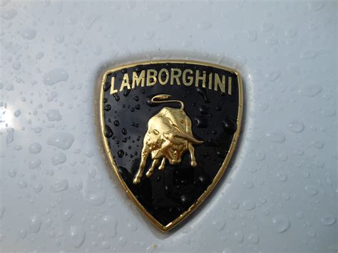 Download free photo of Lamborghini,white,emblem,logo,vehicle - from ...