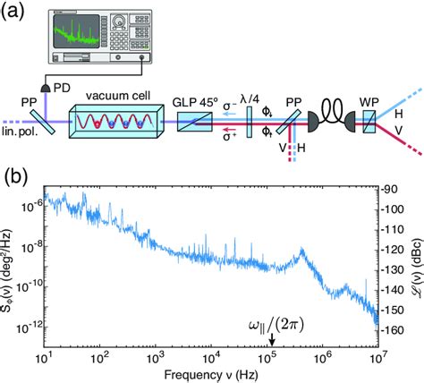 Optoelectronic Setup To Measure The Differential Phase Noise Between