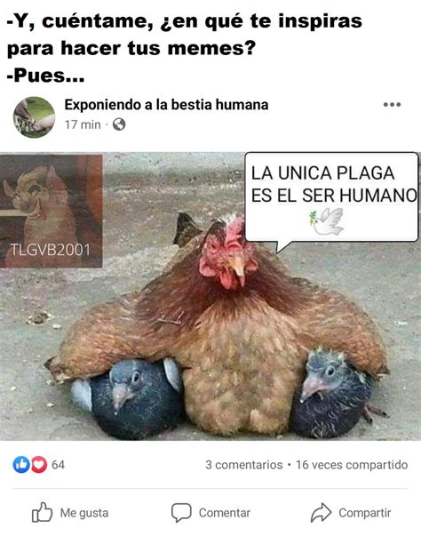 Aqu Les Muestro A Qu Quise Hacer Referencia En Uno De Mis Ltimos