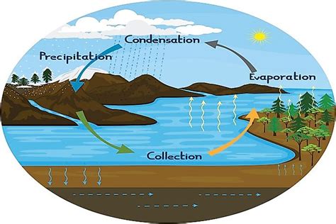 What Is The Water Hydrologic Cycle WorldAtlas