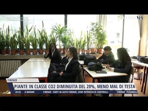 Scuola Coldiretti Cnr A Firenze Piante In Classe Per Migliorare