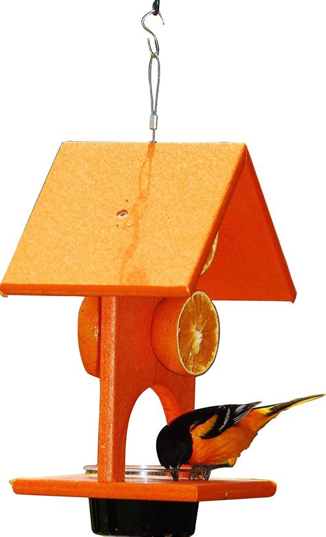 DOGCOOL Oriole Mangeoire à oiseaux pour l extérieur en gelée et oranges