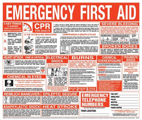 First Aid Guide Printable