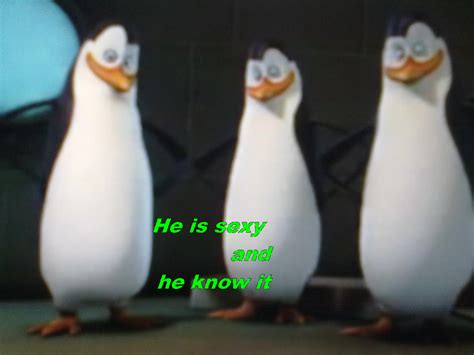 Kowalski - Penguins of Madagascar Photo (30986626) - Fanpop