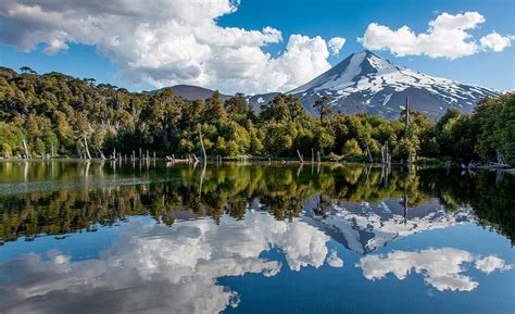 Medio Ambiente Definición E Importancia Del Medio Que Nos Rodea