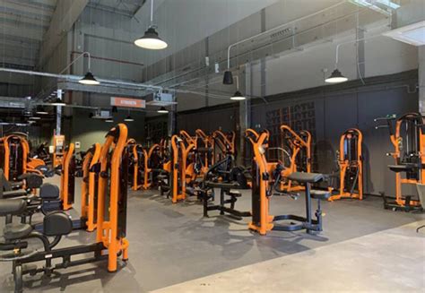 La Franquicia Holandesa De Gimnasios Basic Fit Llega A Alicante