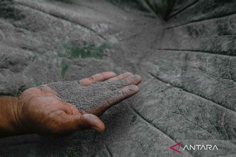 hujan abu  desa tobaru akibat sebaran abu vulkanik gunung ibu