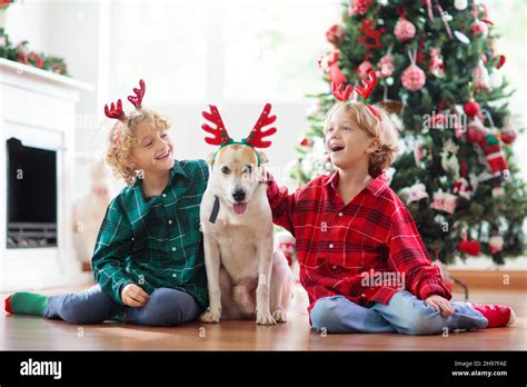 Navidad en casa Niños y perros en los cuernos de renos bajo el árbol