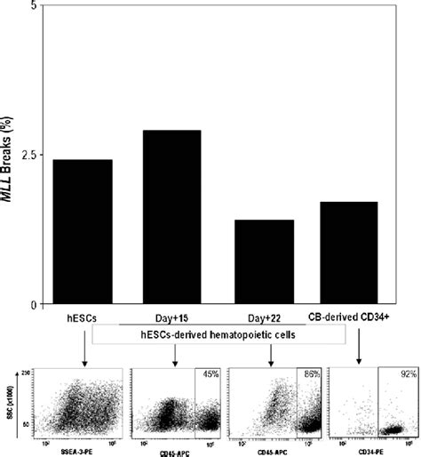 Effects Of Etoposide On HESC Derived Hematopoietic Progeny MLL Gene