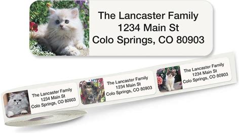 Amazon Cute Kittens Rolled Personalized Return Address Mailing