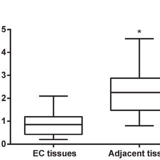 The Expression Levels Of MiR 143 Were Down Regulated In EC Tissues And