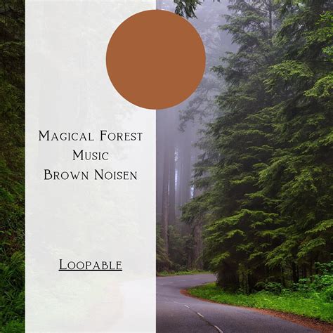 Brown Noise Forest Truth Sound Of Nature Librarythe Forest Escape