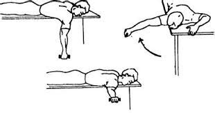 Scapular Stabilization Exercises Health Benefits How To Do