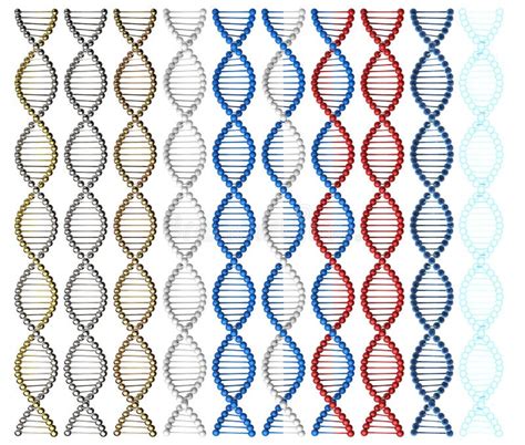 Dna Helix Structure Stock Illustration Illustration Of Biotechnology