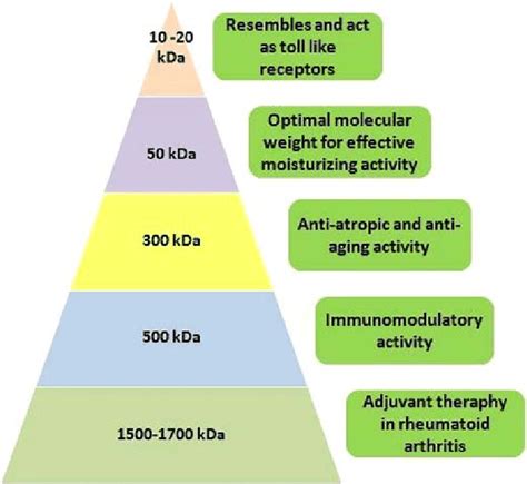 Application Of Hyaluronic Acid At Various Molecular Weight Ranges