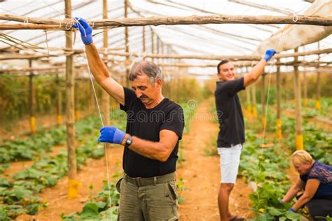 Cultivo Jardinagem Agricultura E Fam Lia Do Conceito Dos Povos Que