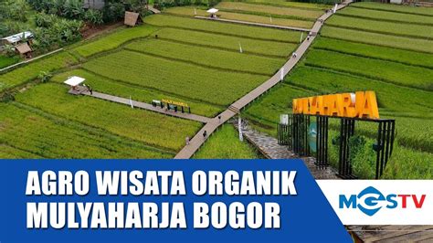 AGRO EDU WISATA MULYAHARJA BOGOR 2 YouTube