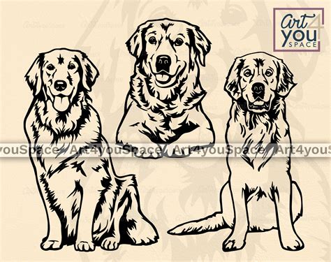 Golden Retriever Svg Goldie Clipart Dog Svg Files For Etsy