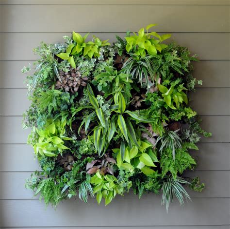 Vertical Gardens City Garden Ideas