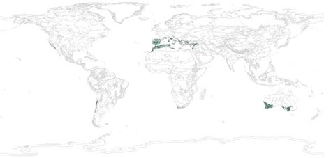 Mediterranean Forest, Woodland, and Scrub Forest — Ecology Pocket Guide