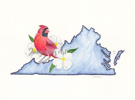 Virginia State Bird and Flower Watercolor Illustration Print/ Nature ...