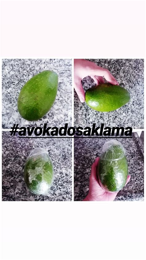 Avokado Kalite On Twitter