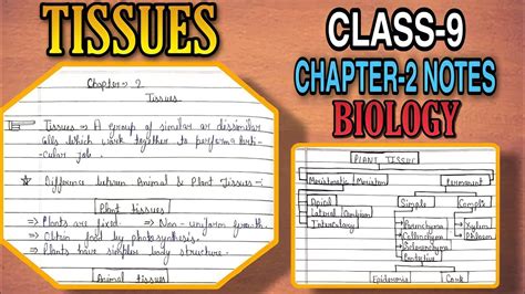 Class 9 Biology Chapter 6 Tissue Notes Plant Tissue Handwritten Notes Part 1 By A J