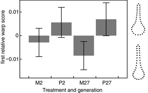 Experimental Evidence For The Evolution Of The Mammalian Baculum By Sexual Selection Simmons