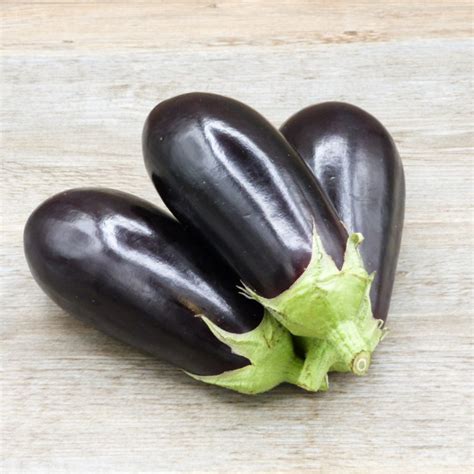 Aubergine Noah Primeurs