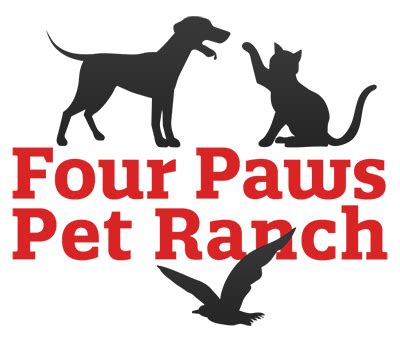 Four Paws Pet Ranch - Pet Boarding, Dog Daycare, Grooming, Training ...