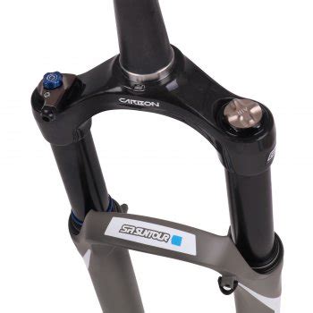 SR Suntour SF20 AXON34 Werx EQ RLRC PCS 29 Federgabel 120mm