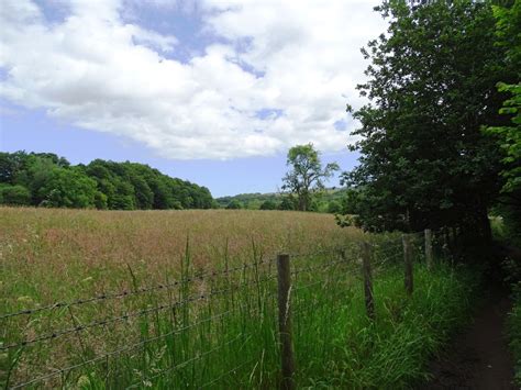 Meadow Beside The Derwent Robert Graham Geograph Britain And Ireland