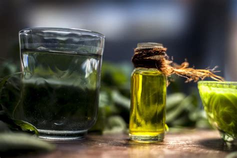 How To Emulsify Neem Oil And Make It An Effective Pesticide