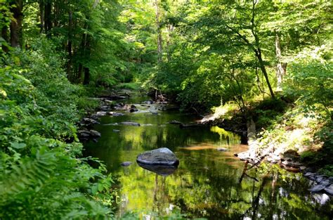 Dog Friendly Trails In Westchester County