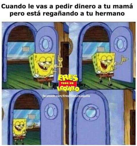 Momos Shidoris Y Lo Que Se Encuentre Alv Spongebob Funny Funny