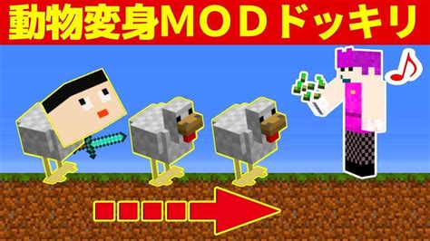 変身modで動物に変身して友達を倒してみた！【ドッキリ島】【マイクラ】 マイクラ（minecraft）動画まとめ