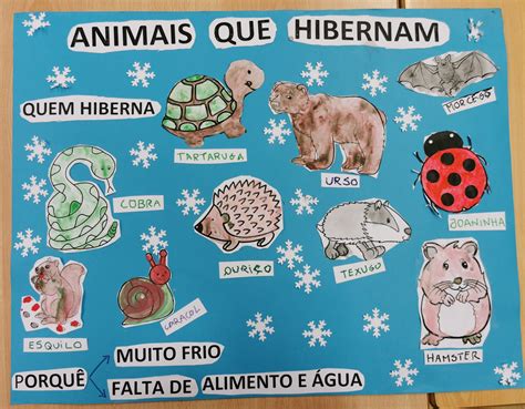 Biblioaescas Animais Que Hibernam