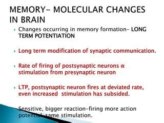 Molecular Basis Of Memory Pptx