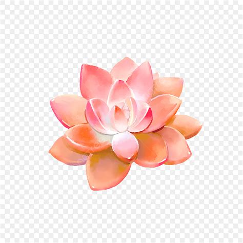 Watercolor Succulent Png Transparent Small Fresh Hand Painted