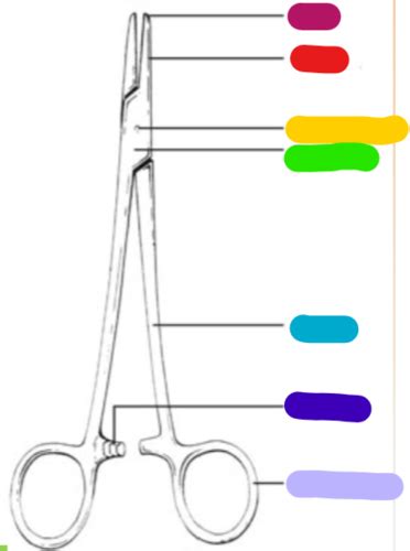 Surgical Instruments Flashcards Quizlet