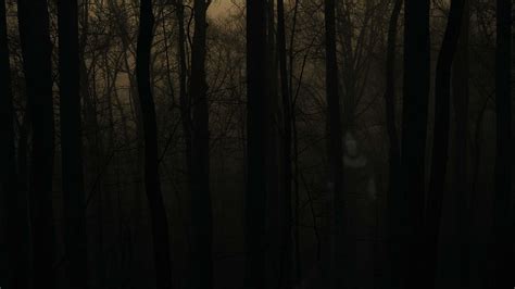 100 Haunted Forests Wallpapers