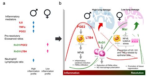 Biomolecules Free Full Text Sex Dependent Differential Expression