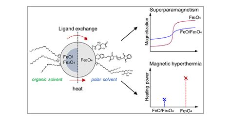 Phase Transformation Of Superparamagnetic Iron Oxide Nanoparticles Via