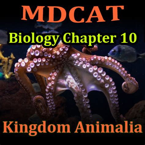 Kingdom Animalia Mdcat Biology Chapter 10