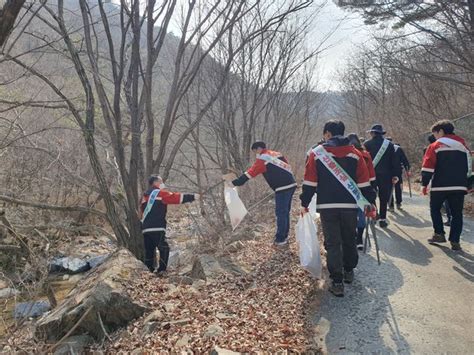 충주국유림관리소 백두대간 숲사랑 운동 공동 캠페인 실시 네이트 뉴스