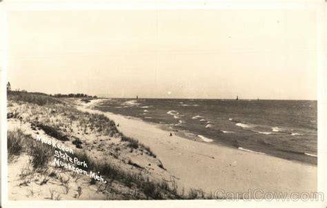 Muskegon State Park - Beach Shoreline Michigan Postcard