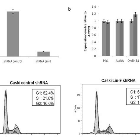 Depletion Of Lin 9 In CaSki Cells A Quantitative RT PCR Analysis Of