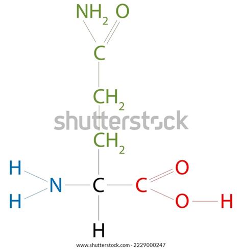 Structure Glutamine Amino Acid Side Chain Stock Vector (Royalty Free ...